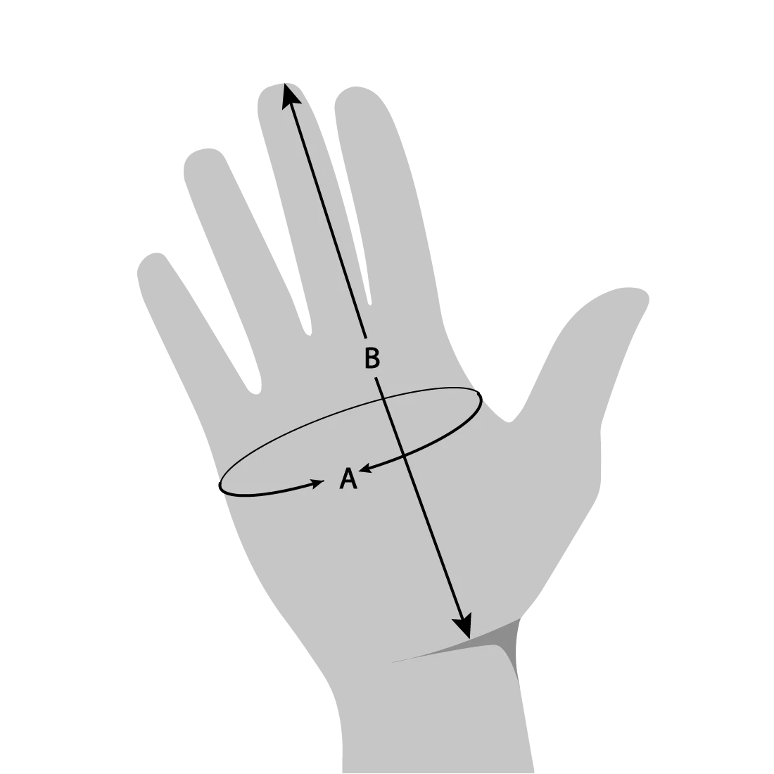 尺寸表 大嘴鳥防摔手套
